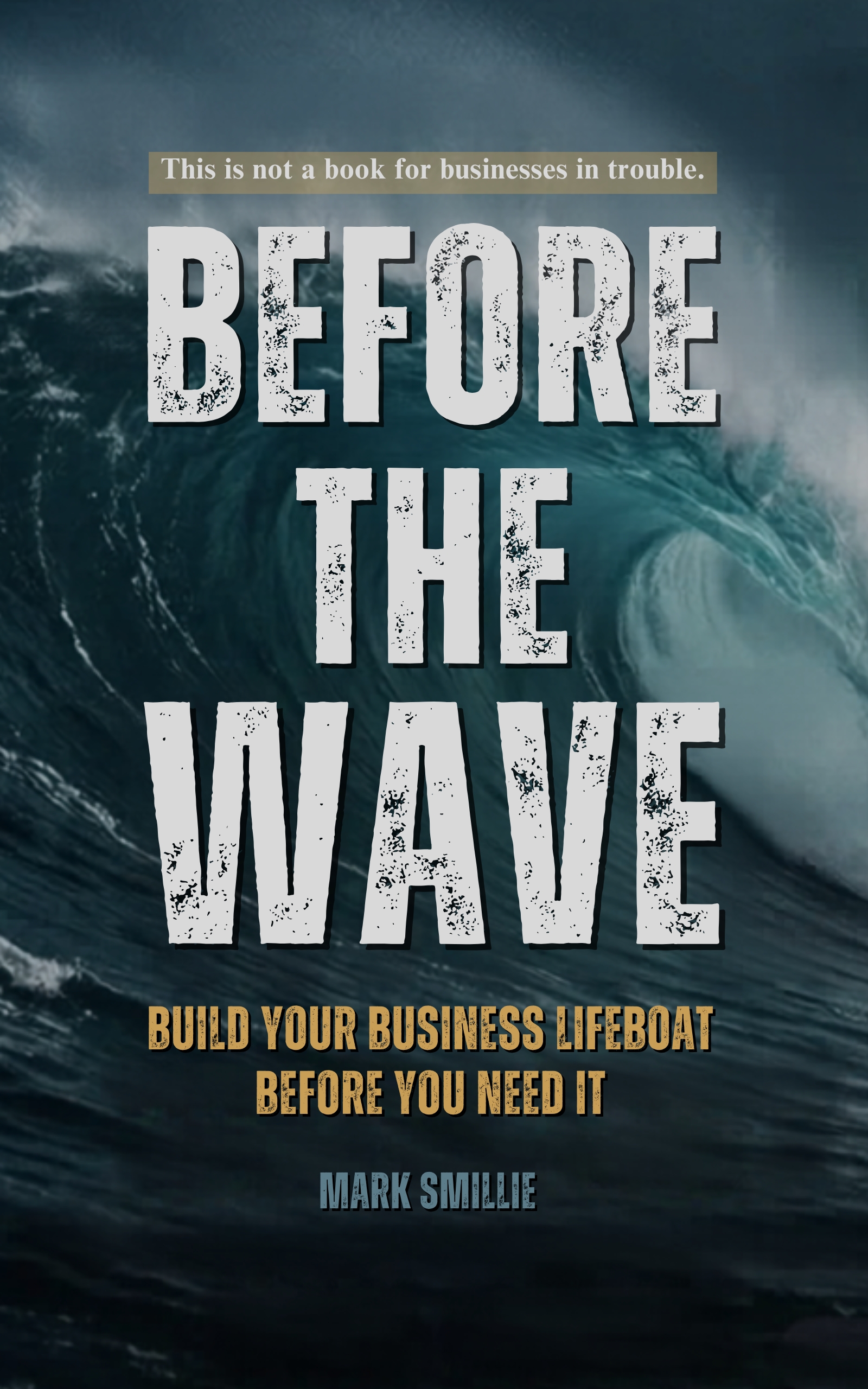 Before the Wave book cover
